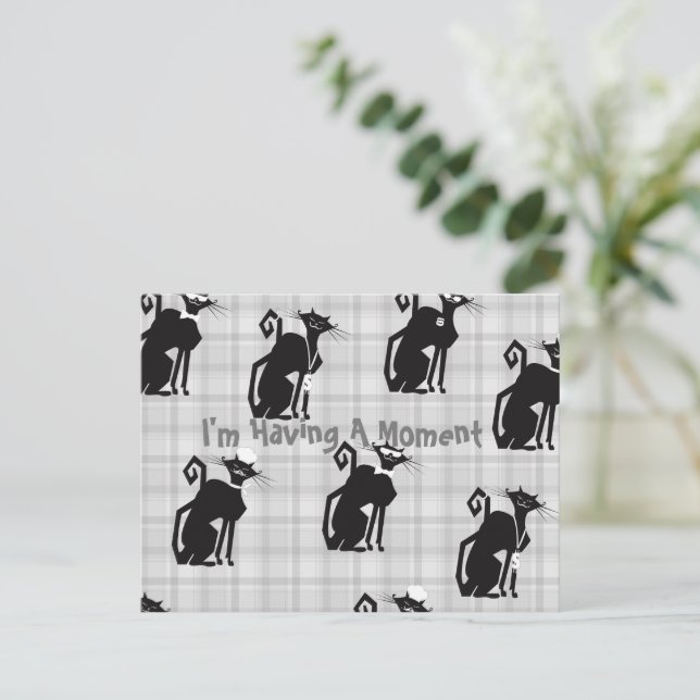 Professional Cats Post Card (Standing Front)