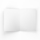 Professional Company Logo Elegant Custom Christmas