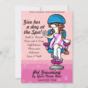 Professional dog grooming advertising cards