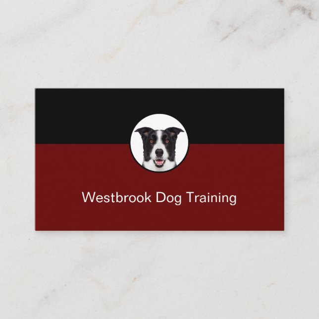 Professional Dog Training Service Modern Business Card (Front)