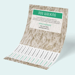 Professional Dog Walking Flyers Modern Pet Sitter