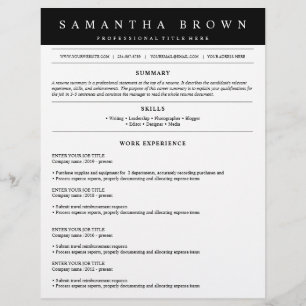 Professional job application resume