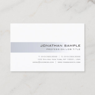 Professional Minimalistic Modern Silver Cool Plain Business Card