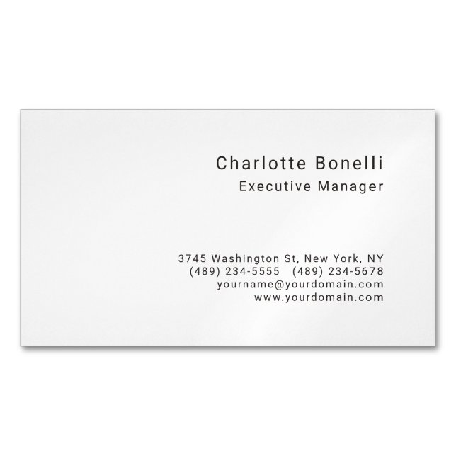 Professional Modern Minimalist  Magnetic Business Card (Front)