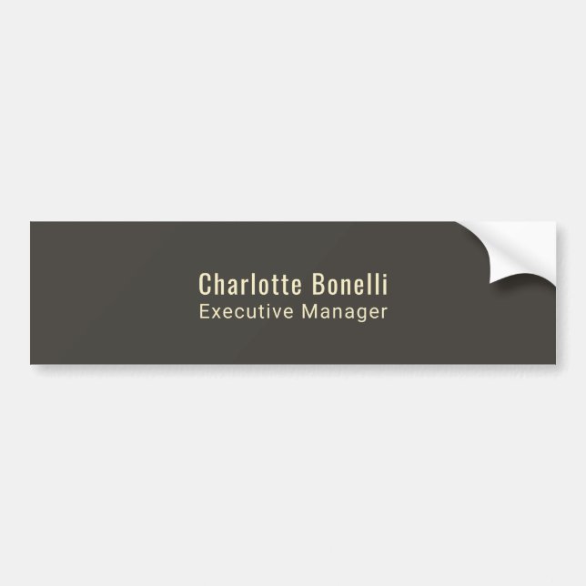 Professional Modern Minimalist Plain  Bumper Sticker (Front)