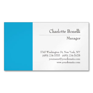 Professional Modern Minimalist Premium Silk Magnetic Business Card