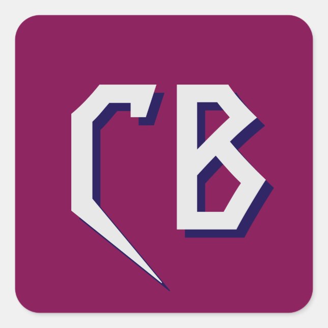 Professional Modern Monogram Minimalist Initials Square Sticker (Front)