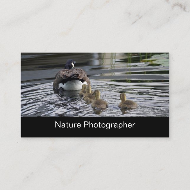 Professional Nature And Wildlife Photographer Business Card (Front)