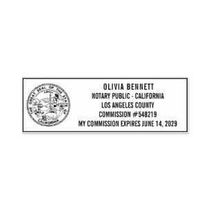 Professional Notary Public   Custom Name & Commiss Self-inking Stamp