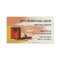Professional Painter Contractor Business Card