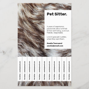 Professional Pet Sitting Flyer Small Business