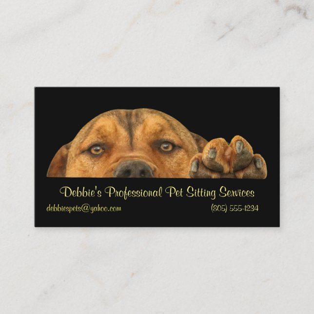 Professional Pet Sitting Services Business Card (Front)