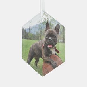 Professional Photo Glass Hexagon Tree Decoration