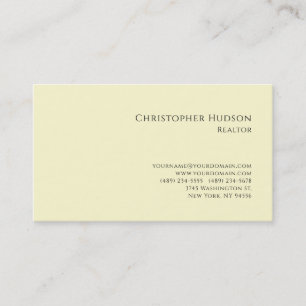 Professional Plain Realtor Real Estate Pastel  Business Card
