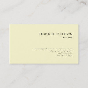 Professional Plain Realtor Real Estate Pastel Business Card