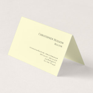 Professional Plain Realtor Real Estate Pastel Business Card