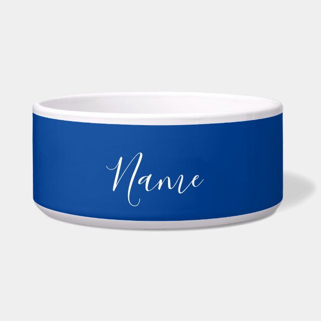 Professional Plain Simple Blue Calligraphy Name (Front)