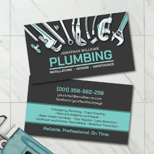 Professional Plumbing Services  Business Card