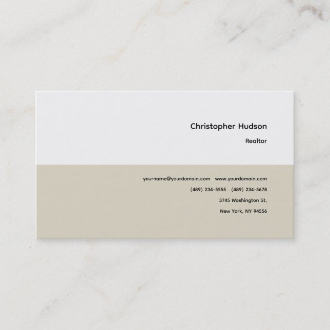 Professional Simple Plain Realtor Real Estate Business Card (Front)