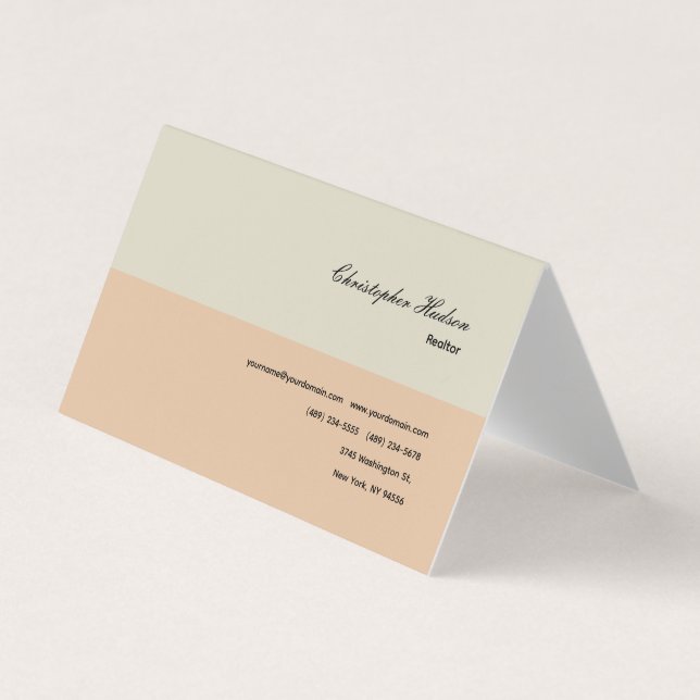 Professional Simple Plain Realtor Real Estate Business Card (Front)