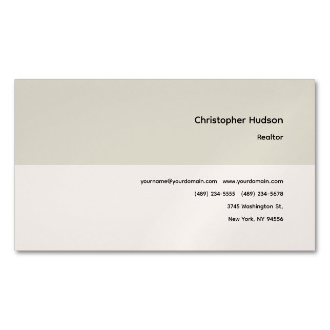Professional Simple Plain Realtor Real Estate Magnetic Business Card (Front)