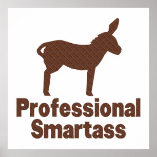 Professional Smartass Poster