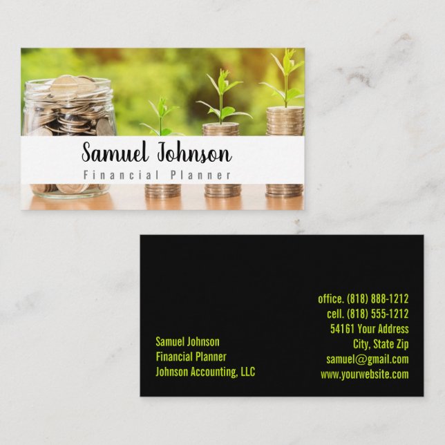 Professional Stylish Financial Planner Accountant Business Card (Front/Back)
