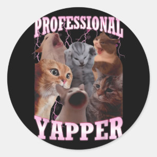 Professional Yapper Cat Meme Funny Oddly Specific Classic Round Sticker