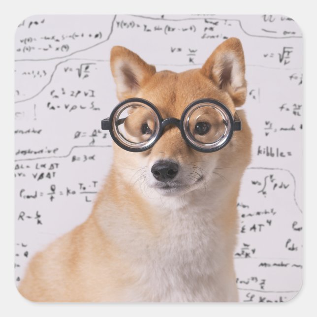 Professor Barkley Square Sticker (Glossy) (Front)