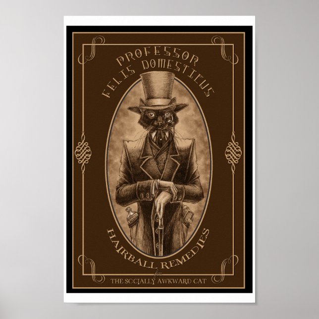 Professor Felis DOmesticus Poster (Front)