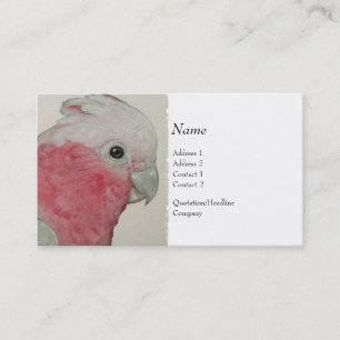 Profile Card - Cockatoo
