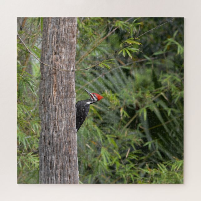 Profile Florida Pileated Woodpecker Nature Photo Jigsaw Puzzle (Horizontal)