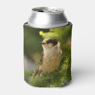 Profile of a Cute Grey Jay / Whiskeyjack Can Cooler