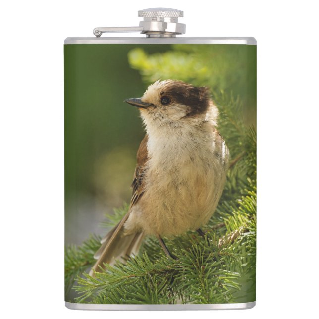 Profile of a Cute Grey Jay / Whiskeyjack Hip Flask (Front)