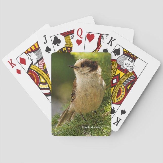 Profile of a Cute Grey Jay Whiskeyjack Playing Cards (Back)