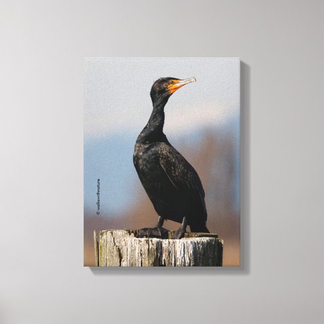 Profile of a Double-Crested Cormorant Canvas Print (Front)