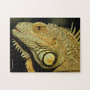 Profile of a Green Iguana Jigsaw Puzzle