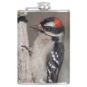 Profile of a Male Downy Woodpecker Hip Flask