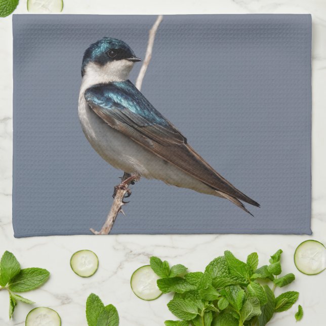 Profile of a Male Tree Swallow in the Sun Tea Towel (Folded)