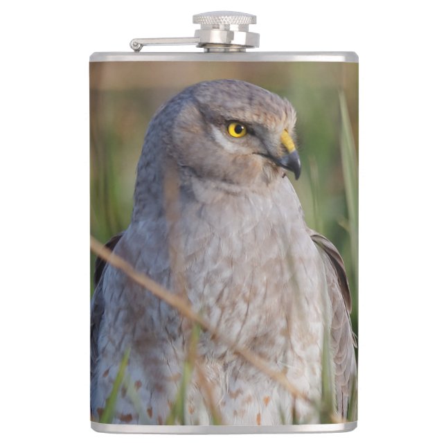 Profile of a Northern Harrier Hip Flask (Front)