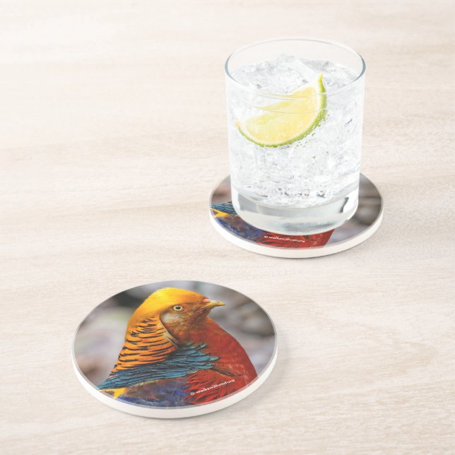 Profile of a Red Golden Pheasant Coaster (Side)