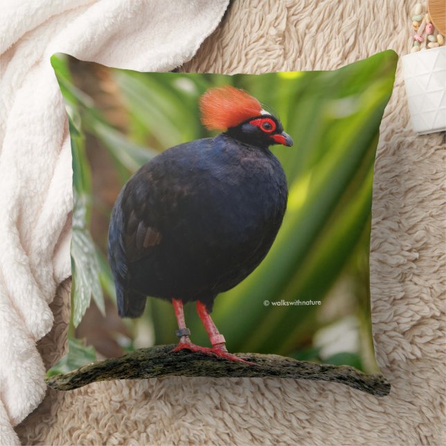 Profile of a Roul-Roul Crested Wood Partridge Cushion (Blanket)