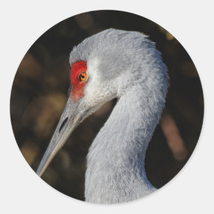 Profile of a Sandhill Crane Classic Round Sticker