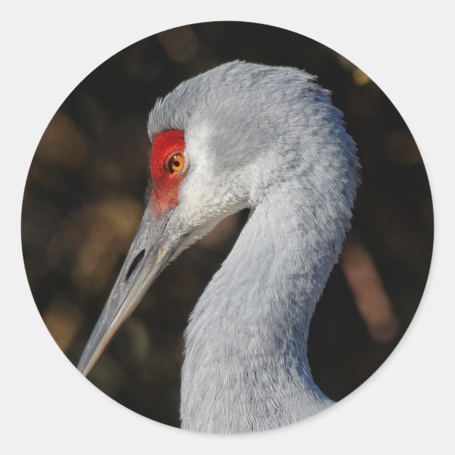 Profile of a Sandhill Crane Classic Round Sticker (Front)