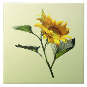 Profile of a Sunflower Tile