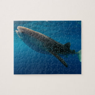 Profile of a whale shark, Indonesia Jigsaw Puzzle