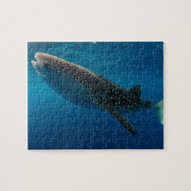 Profile of a whale shark, Indonesia Jigsaw Puzzle (Horizontal)