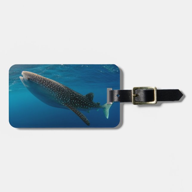 Profile of a whale shark, Indonesia Luggage Tag (Front Horizontal)