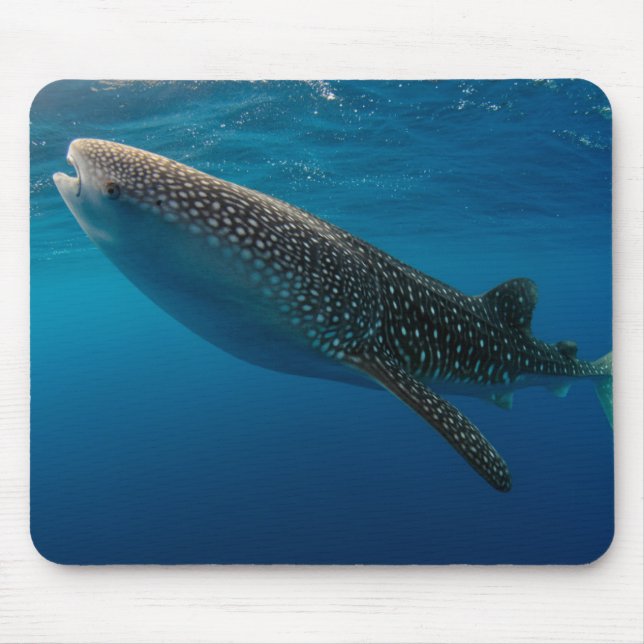 Profile of a whale shark, Indonesia Mouse Mat (Front)