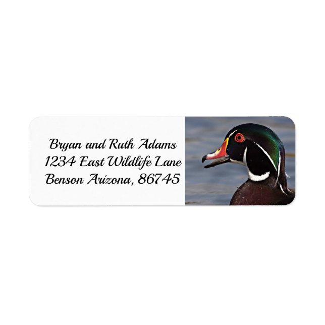 Profile of A Wood Duck (Front)